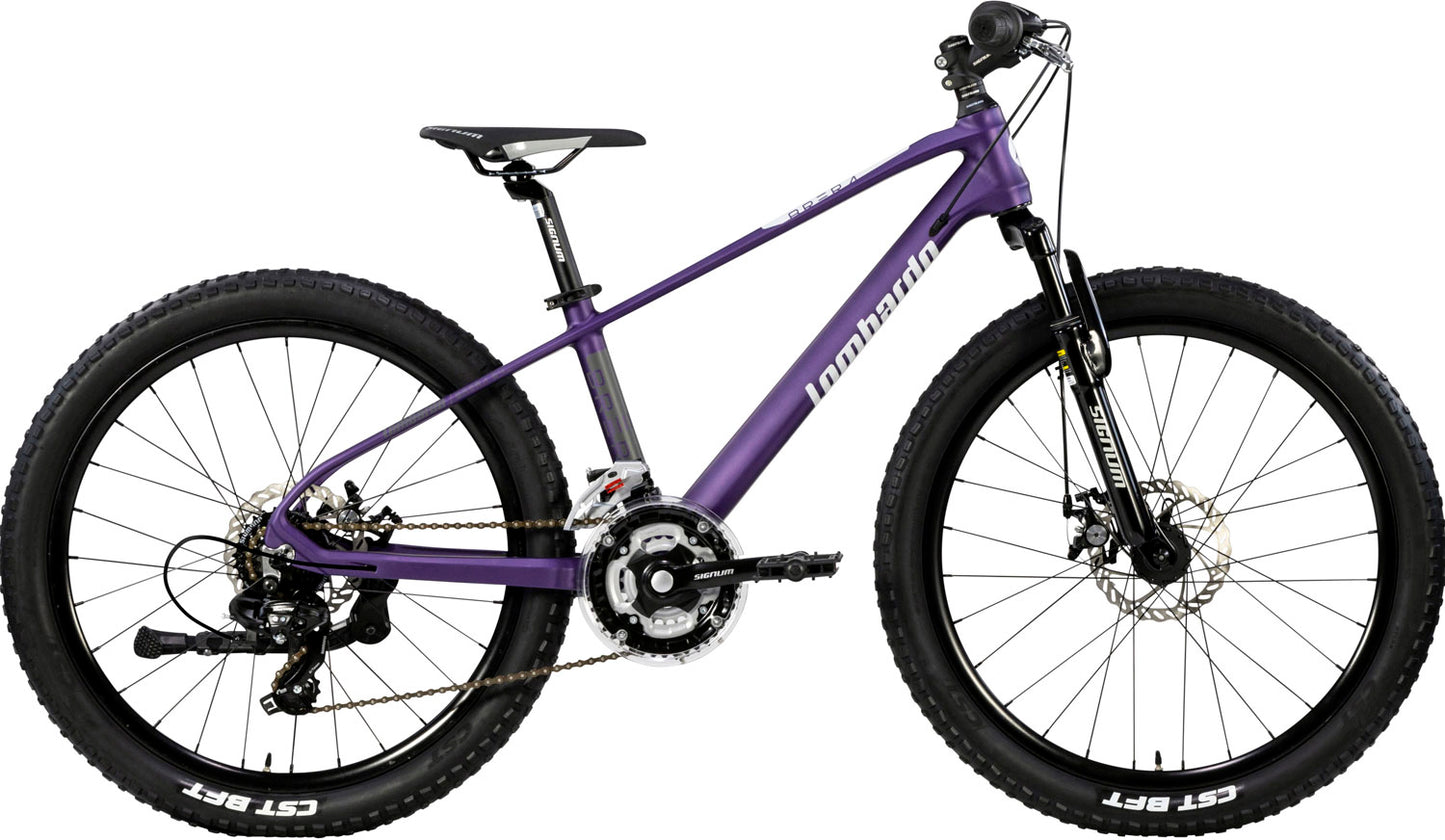 BRERA 24" DISC 21vit