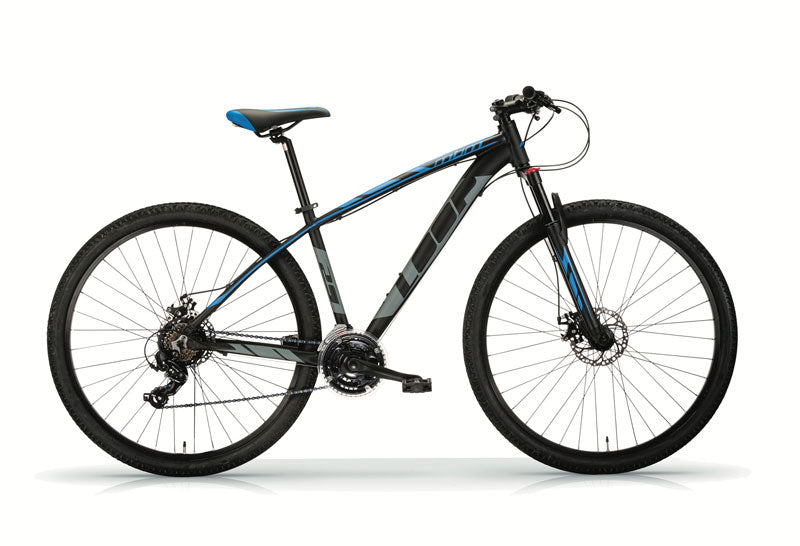 LOOP DISK 29"