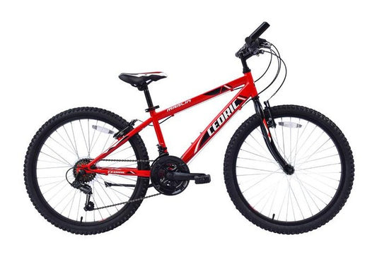 Vtt CEDRIC 24p