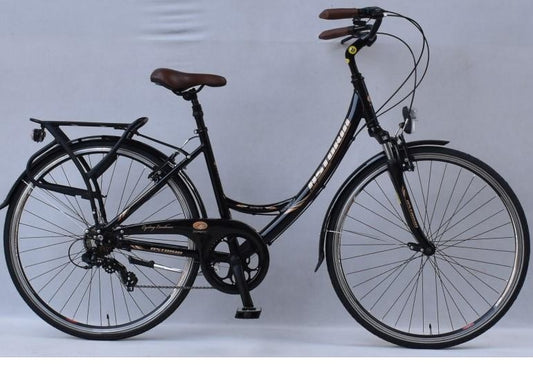 Vélo ville astoria