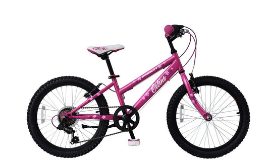 Vtt celine 20"