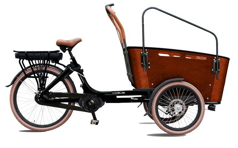TRIPORTEUR ÉLECTRIQUE CARRY III 26" (3 ROUES)