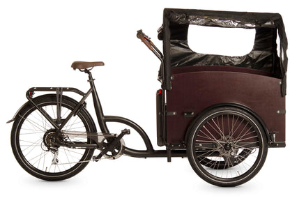 Triporteur électrique brome