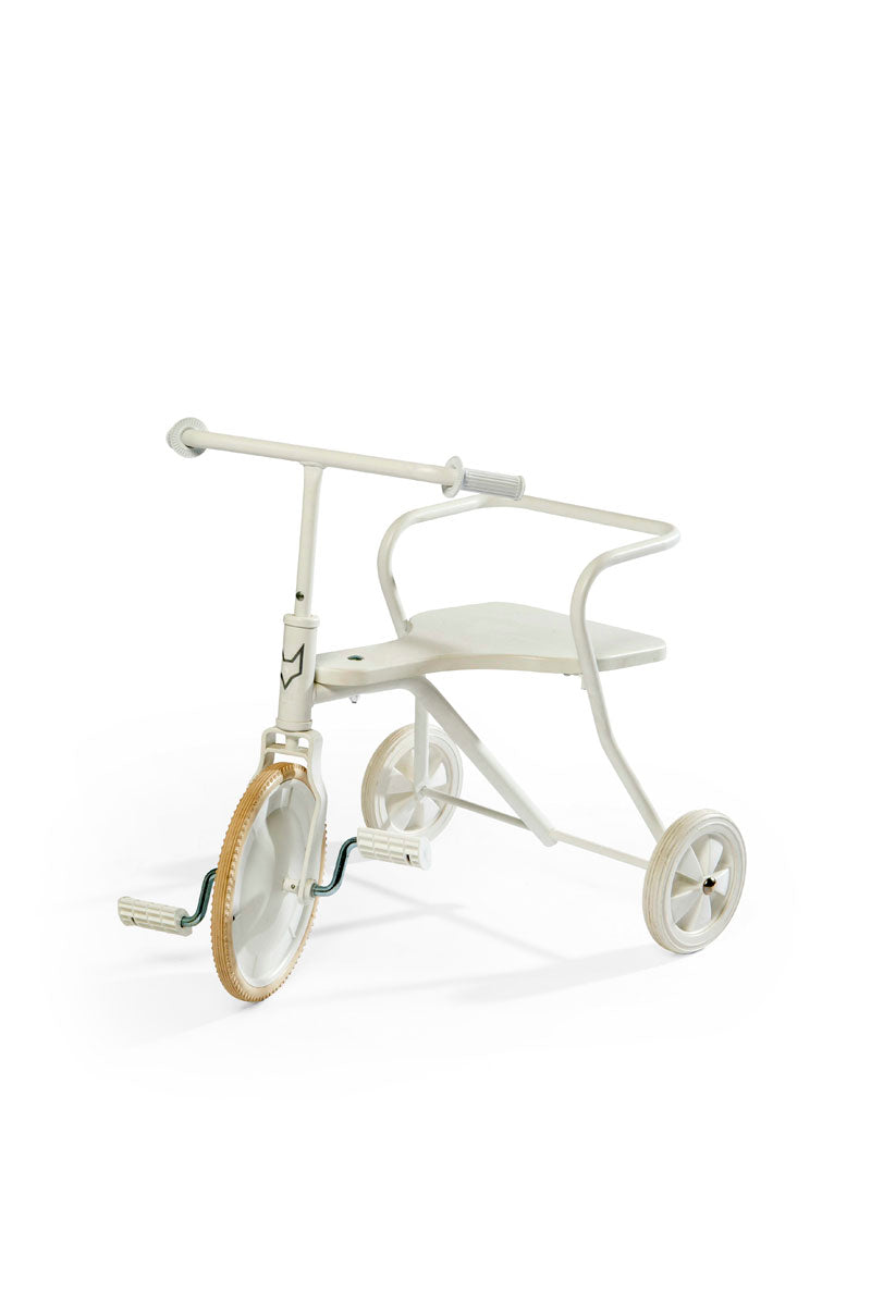 Tricycle foxrider
