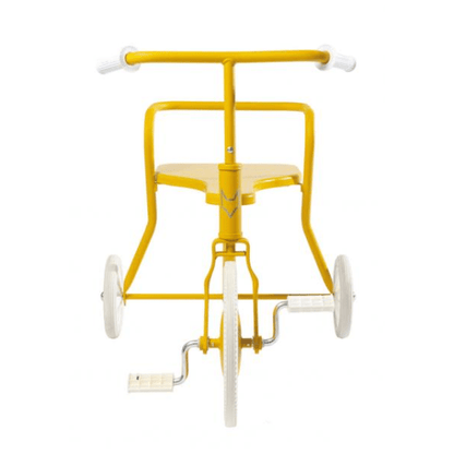 Tricycle foxrider